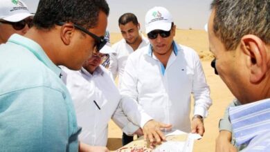 شركة تنمية الريف المصرى الجديد تقوم بتطهير البرابخ ومخرات السيول