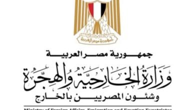 الخارجية المصرية:تطبيق منظومة تسهل على المواطنين في الخارج تجديد جوازات السفر وبطاقات الرقم القومي