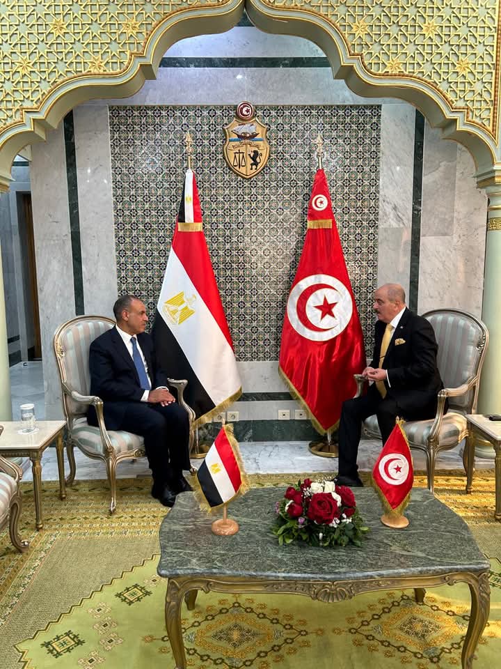 وزير الخارحية.. يشيد بالعلاقات الثنائية المصرية التونسية مؤكدًا الحرص على الارتقاء بالتعاون المشترك