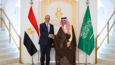 وزير الخارجية.. يترأس وفد مصر في أعمال لجنة المتابعة والتشاور السياسي مع السعودية في الرياض