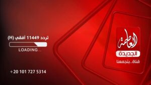 انطلاق قناة العاصمة: رؤية جديدة للإعلام في مصر
