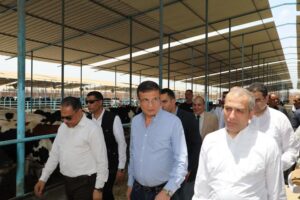 الزراعة تدعم صغار المربين بتوفير الروؤس المحسنة ذات الإنتاجية العالية وتوفر فرص العمل