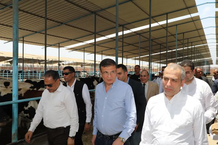 الزراعة تدعم صغار المربين بتوفير الروؤس المحسنة ذات الإنتاجية العالية وتوفر فرص العمل
