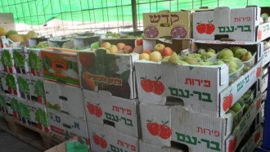  مقاطعة البضائع الإسرائيلية تتوسع أوروبيا وتشمل ألمانيا والبضائع على الأرفف