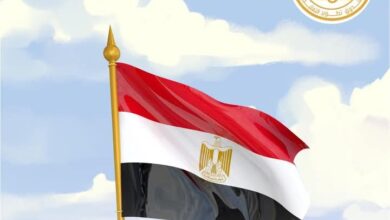مصر تدين الهجوم الإسرائيلي على إيران