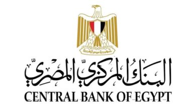 البنك المركزي: قفزة تاريخية في تحويلات المصـريين بالخارج 