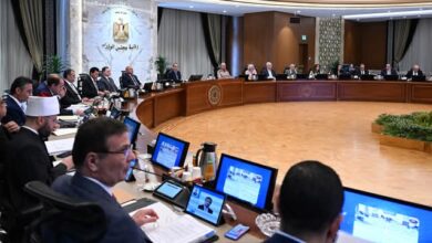 مدبولي يوجه بالشراكة مع القطاع الخاص في إدارة وتشغيل المصانع المطورة لشركات الغزل والنسيج