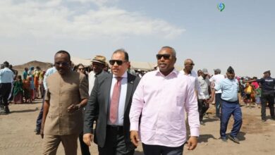 مصر تبدأ فى بناء محطة للطاقة الشمسية في جيبوتي