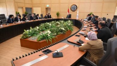 وزير النقل يلتقي الرئيس التنفيذى والعضو المنتدب لشركة ميتسوبيشى ماشينيري اليابانية