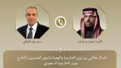 اتصال هاتفي بين وزير خارجية مصر ونظيره السعودي