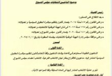 بصدور قرار الهيئة الوطنية للانتخابات رقم (٥) لسنة 2025 بدعوة الناخبين للاقتراع بمقار اللجان الانتخابية خارج جمهورية مصر