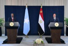 الرئيس السيسي يبحث مع نظيره الصومالي أوضاع القرن الإفريقي وأمن البحر الأحمر