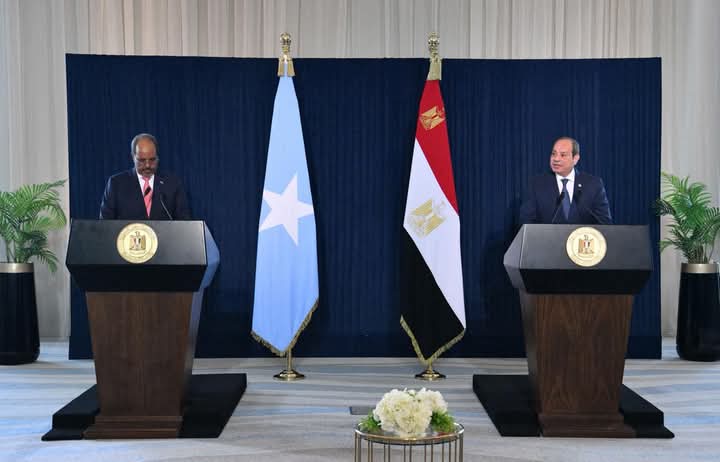الرئيس السيسي يبحث مع نظيره الصومالي أوضاع القرن الإفريقي وأمن البحر الأحمر
