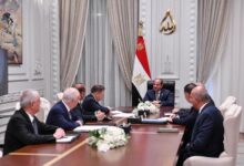 الرئيس عبد الفتاح السيسي يلتقي المدير العام لهيئة الدولة للطاقة النووية "