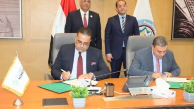 المالية: 5 مليارات جنيه للمشروعات المتوسطة والصغيرة ومتناهية الصغر