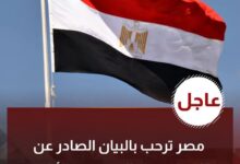 مصر ترحب بالبيان الصادر عن 25 دولة حول الوضع في الأراضي الفلسطينية المحتلة