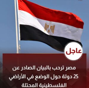 مصر ترحب بالبيان الصادر عن 25 دولة حول الوضع في الأراضي الفلسطينية المحتلة