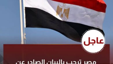 مصر ترحب بالبيان الصادر عن 25 دولة حول الوضع في الأراضي الفلسطينية المحتلة