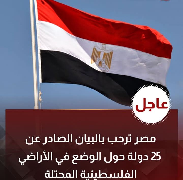 مصر ترحب بالبيان الصادر عن 25 دولة حول الوضع في الأراضي الفلسطينية المحتلة