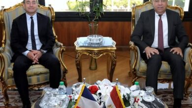 السفير الفرنسي : حريصون على توسيع التعاون مع مصر في مجال الطيران المدني