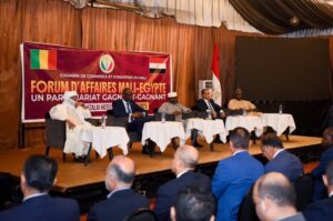 وزير الخارجية يفتتح منتدى الأعمال المصري المالي