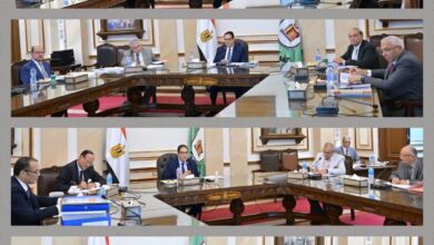 لجان ترشيح المتقدمين لشغل منصب العميد بعدد من كليات ومعاهد جامعة القاهرة تنهي أعمالها 
