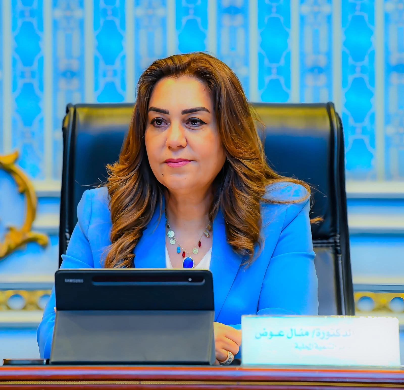 وزيرة التنمية توجه المحافظات باتخاذ الإجراءات والاستعدادات النهائية لانطلاق انتخابات مجلس الشيوخ 2025