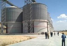 انخفاض واردات مصر من القمح بنسبة 31% خلال 7 أشهر