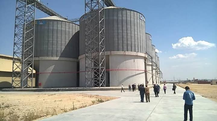 انخفاض واردات مصر من القمح بنسبة 31% خلال 7 أشهر