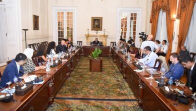 وزير الخارجية يلتقي ممثلي وسائل الإعلام الأجنبية لاستعراض موقف مصر من التطورات الإقليمية والدولية