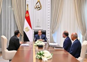 الرئيس السيسي يشدد على أهمية بناء شراكات فاعلة بين الجهات الحكومية ومجتمع الأعمال،