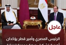 الرئيس المصري وأمير قطر يؤكدان أهمية تشكيل جبهة موحدة لحماية الأمن القومي العربي
