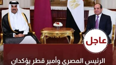 الرئيس المصري وأمير قطر يؤكدان أهمية تشكيل جبهة موحدة لحماية الأمن القومي العربي