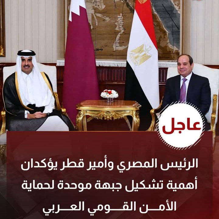الرئيس المصري وأمير قطر يؤكدان أهمية تشكيل جبهة موحدة لحماية الأمن القومي العربي