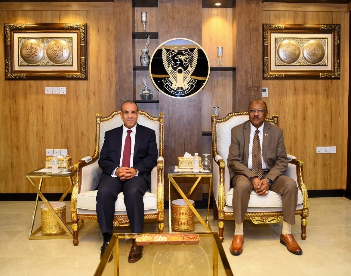وزير الخارجية يؤكد تضامن مصر مع السودان في إنهاء حصار مدينة الفاشر