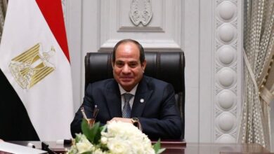 الرئيس عبد الفتاح السيسي يتحدث عن المخالفات الانتخابية: "إرادة الناخبين يجب أن تظهر بكل شفافية"