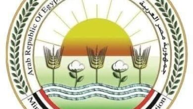 اليوم.. الزراعة" تطلق حملة استثنائية لتحصين الثروة الحيوانية ضد الحمى القلاعية والوادي المتصدع