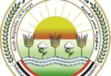 27 ألف نشاط متنوع في 2025.. "الزراعة" تنجح في دعم 715 ألف مزارع بالريف بأنشطة " بحوث الإرشاد الزراعي"