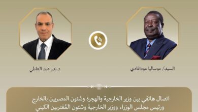 اتصال هاتفي بين وزير الخارجية ونظيره الكيني لبحث تعزيز العلاقات الثنائية والتنسيق الأفريقي