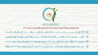 سلامة الغذاء: إصدار 2492 إذن تصدير لحاصلات زراعية لصالح 1378 شركة