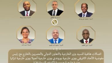 وزير الخارجية يبحث مع رئيس مفوضية الاتحاد الأفريقي تعزيز العمل المشترك